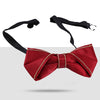 Elegant Pearl-Adorned Bow Tie T2005