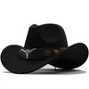 Men Felt Hat H8034